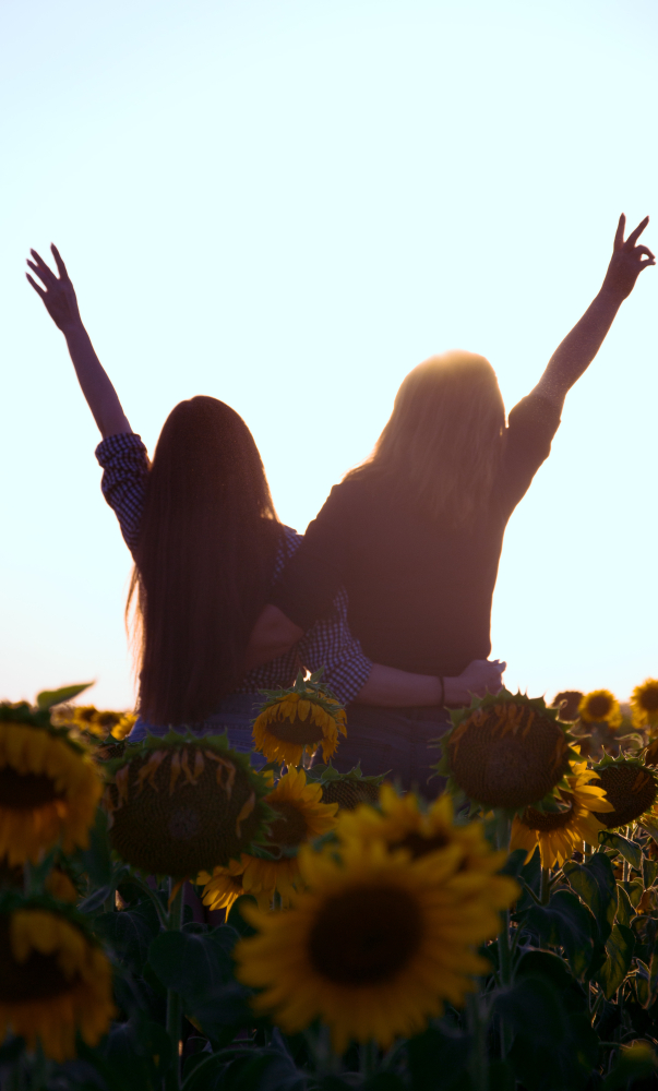 Подсолнухи